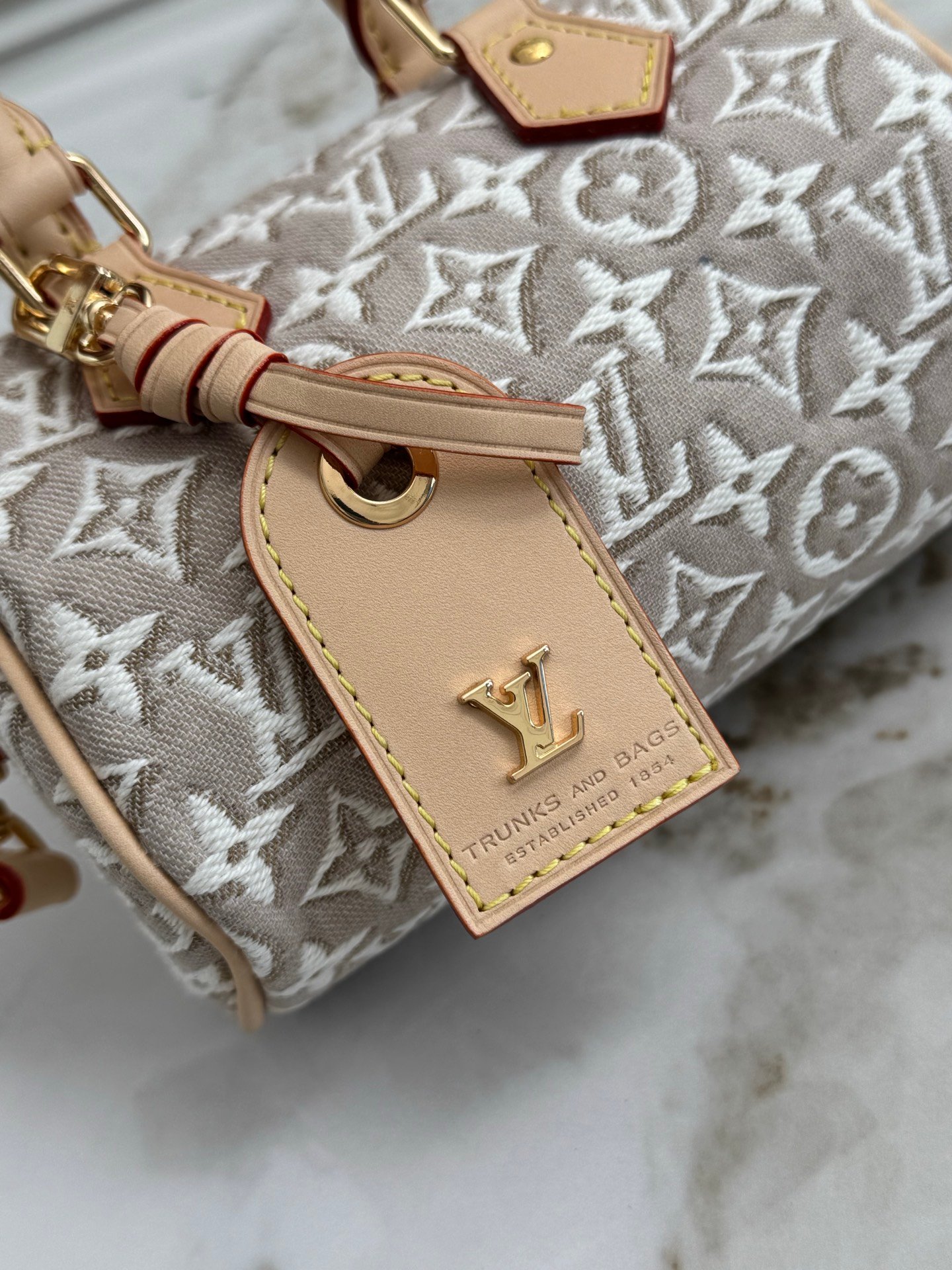 LOUIS VUITTON Nano Speedy 白楊木色 Monogram Emblème 提花迷你枕頭包:圖片 5