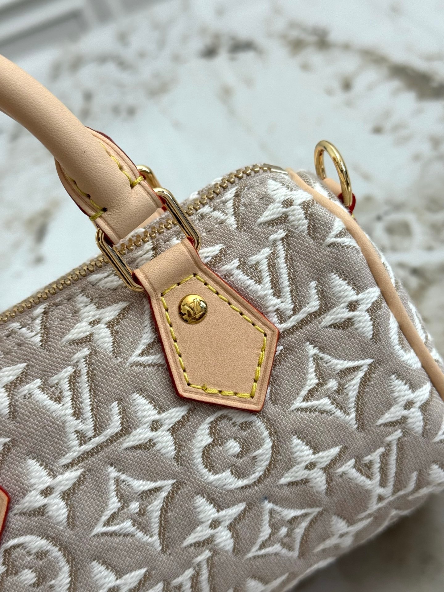 LOUIS VUITTON Nano Speedy 白楊木色 Monogram Emblème 提花迷你枕頭包:圖片 7