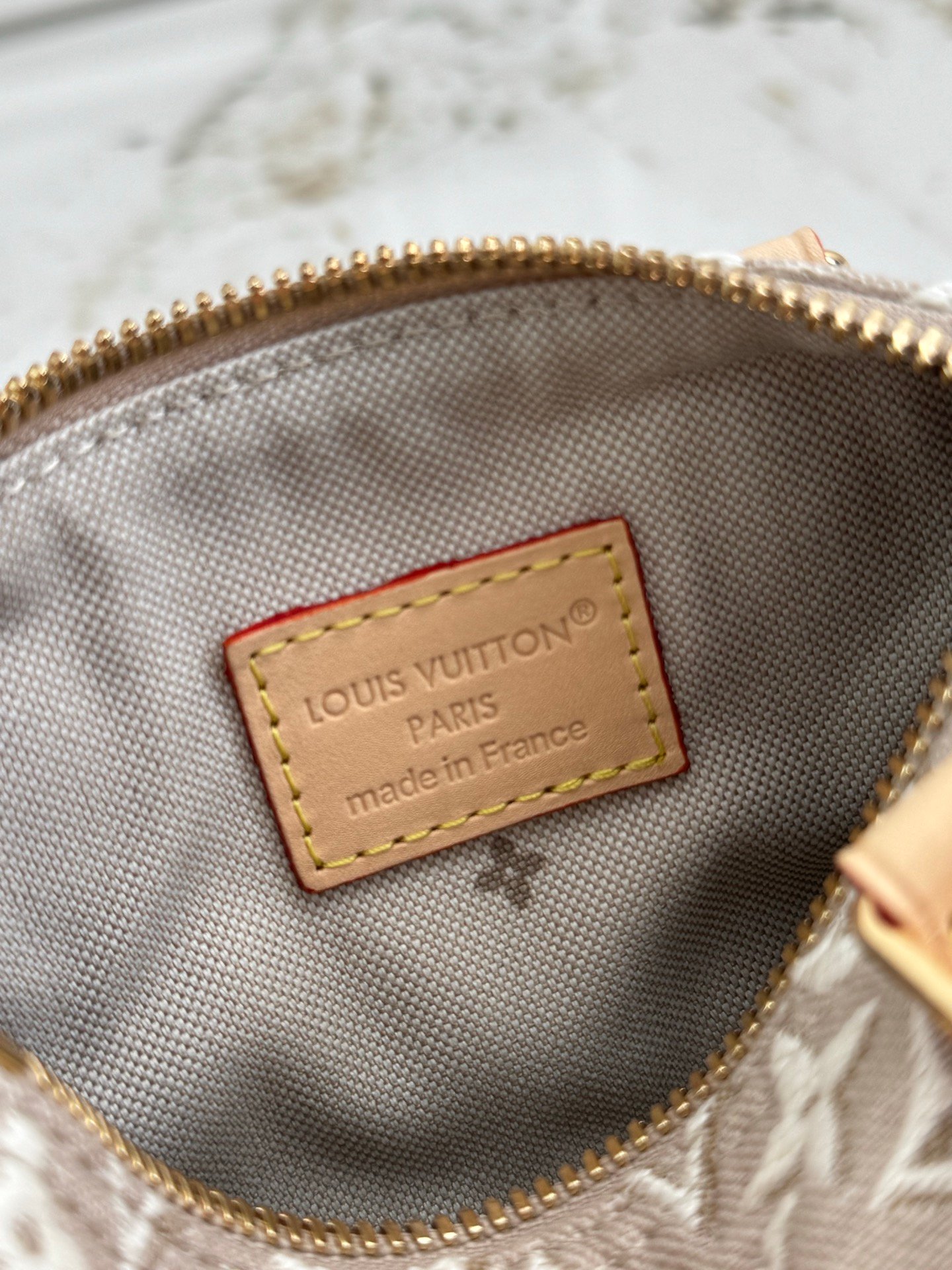 LOUIS VUITTON Nano Speedy 白楊木色 Monogram Emblème 提花迷你枕頭包:圖片 9