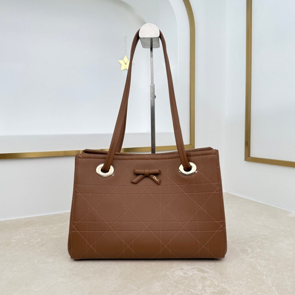 DIOR Promenade 小號托特包 深栗色
