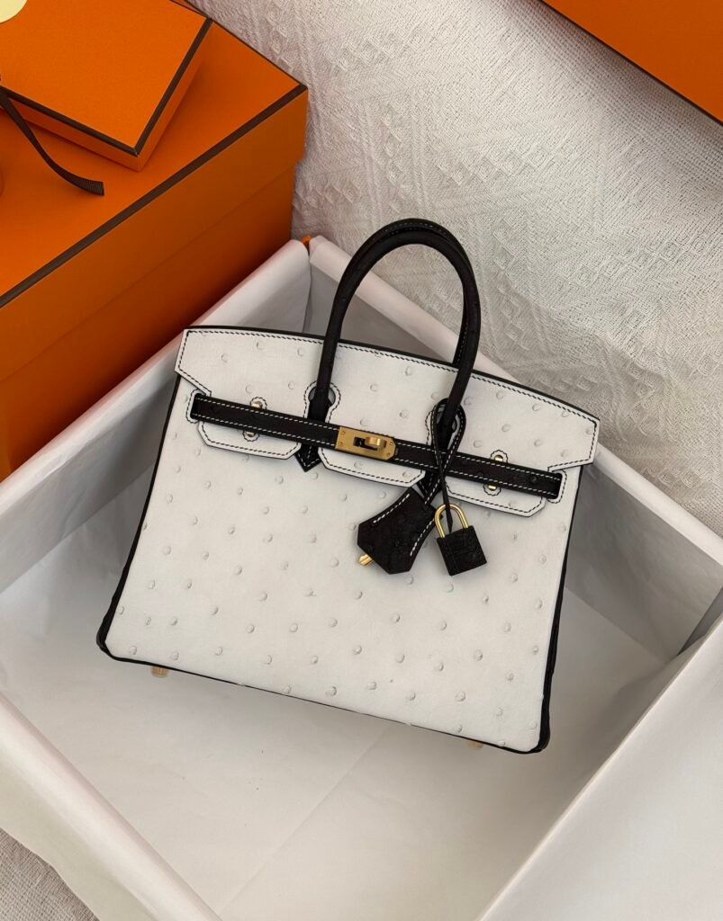HERMÈS Birkin 25 手提包